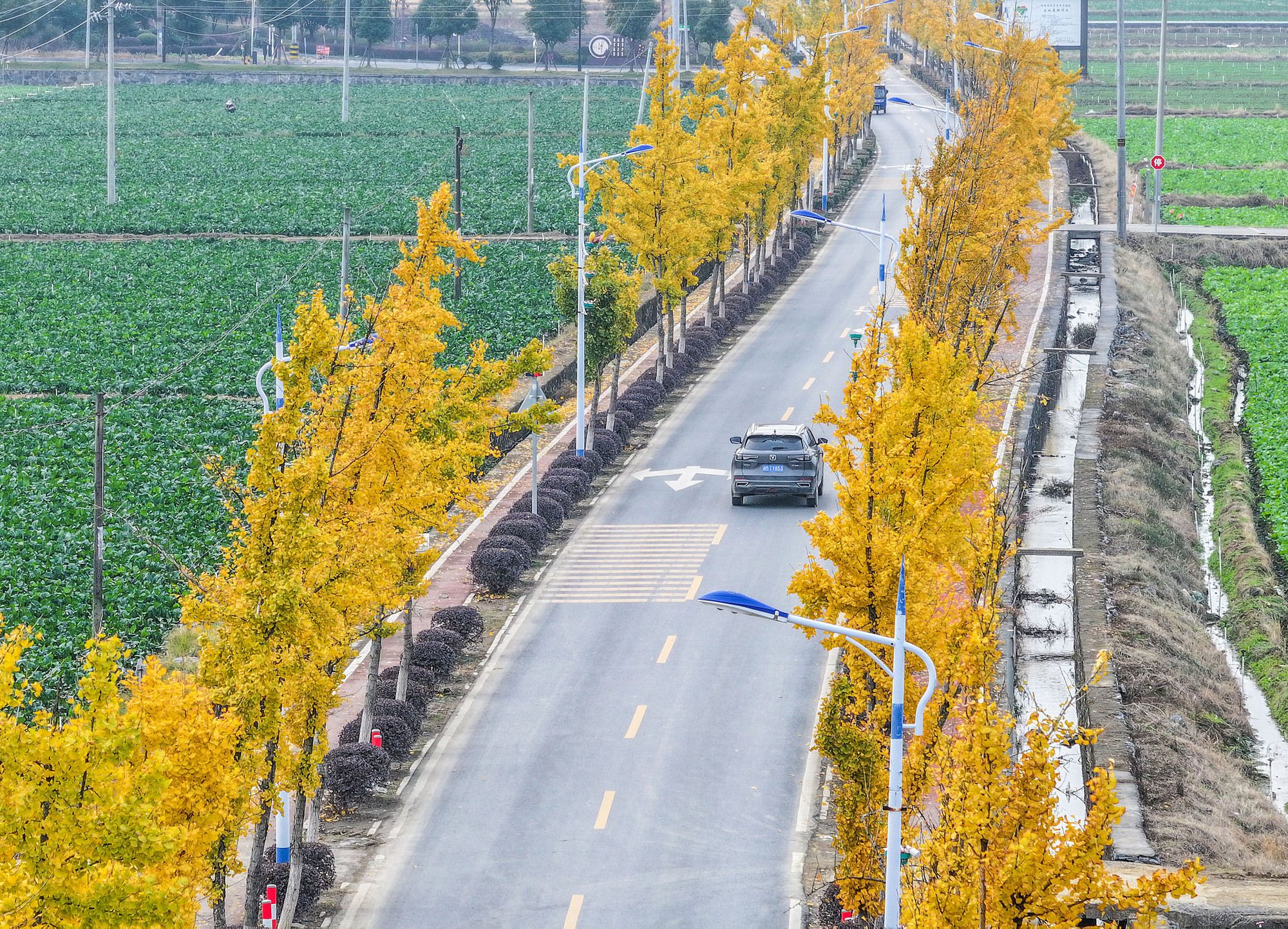 【央广时评】“四好农村路”，是回乡路也是“奔富路”