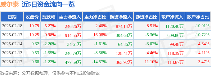 异动快报：威尔泰（002058）2月18日13点19分触及涨停板